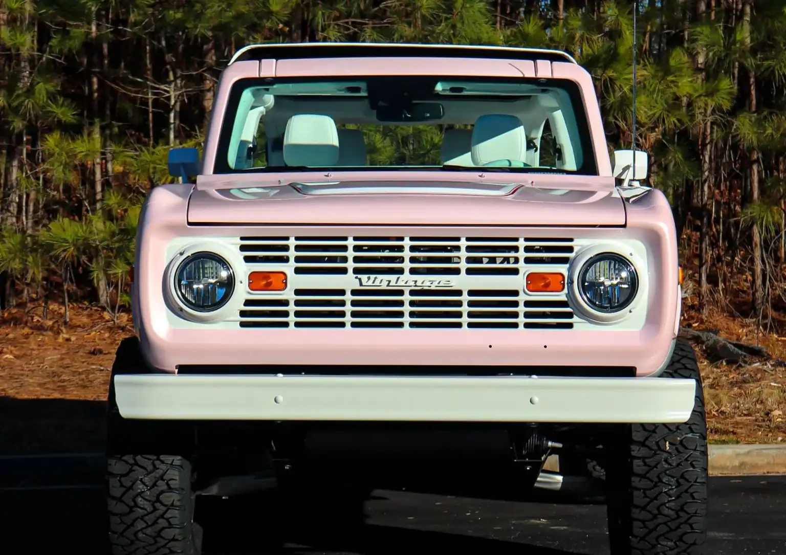 Loveshack Pink