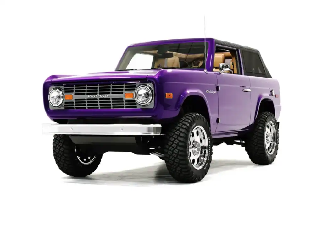 Purple Rain photo 2