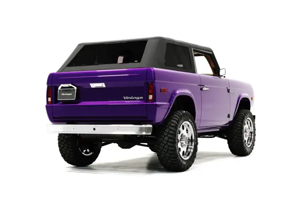 Purple Rain photo 5