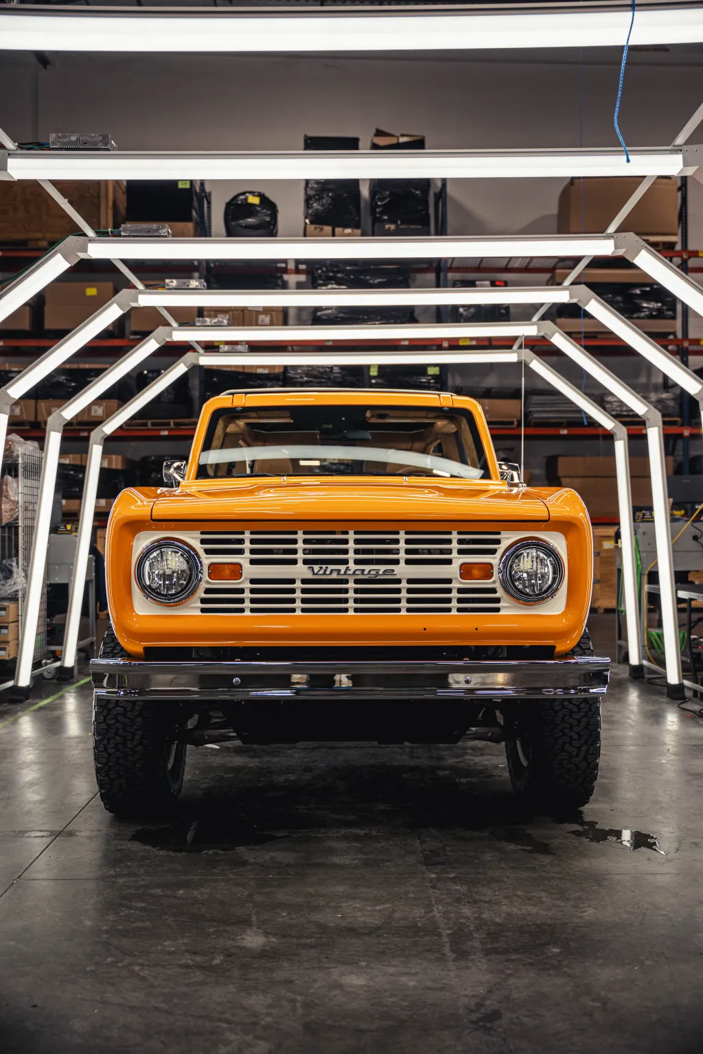 Bold Orange